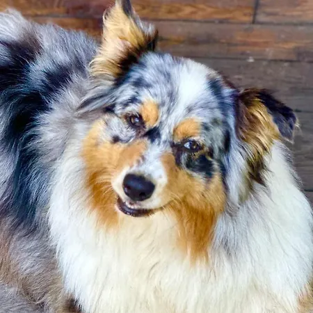 Bed & Breakfast La Piana Dal Sas 3*