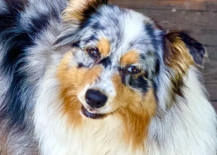 Nocleg ze śniadaniem La Piana Dal Sas 3*